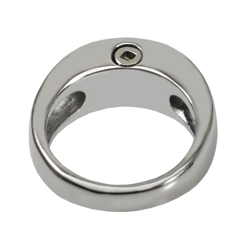 Stainless Steel Zenith Ring Cremation Jewelry-Jewelry-New Memorials-Afterlife Essentials