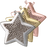 Slide Star Fingerprint Pendant Cremation Jewelry-Jewelry-New Memorials-Afterlife Essentials