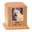 Premier Laser Texture Photo Urns 40 cu. in.-Cremation Urns-Infinity Pet Urns-Oak-Afterlife Essentials