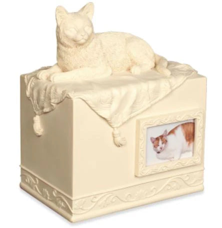 Forever Faithful Friend Pet 55 cu. in. Cremation Urn-Cremation Urns-Infinity Pet Urns-Afterlife Essentials