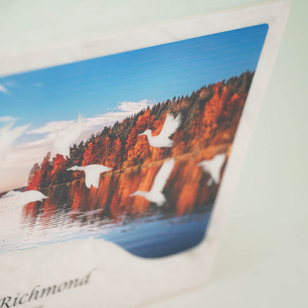 Monumental Memorials Take Flight Full Size Cremation Urn-Cremation Urns-Terrybear-Afterlife Essentials