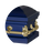 Steel Pet Casket - Dark Blue & Gold-Pet Caskets-Titan Caskets-Afterlife Essentials