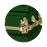 Steel Pet Casket - Green-Pet Caskets-Titan Caskets-Afterlife Essentials
