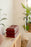 Elegant Cross, Large/Adult Cremation Urn-Cremation Urns-Urns of Distinction-Afterlife Essentials
