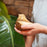Wood Songbird Cremation Keepsake
