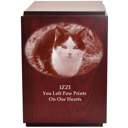 Classic Cherry Finish Wood Pet 200 cu in Cremation Urn-Cremation Urns-New Memorials-Afterlife Essentials