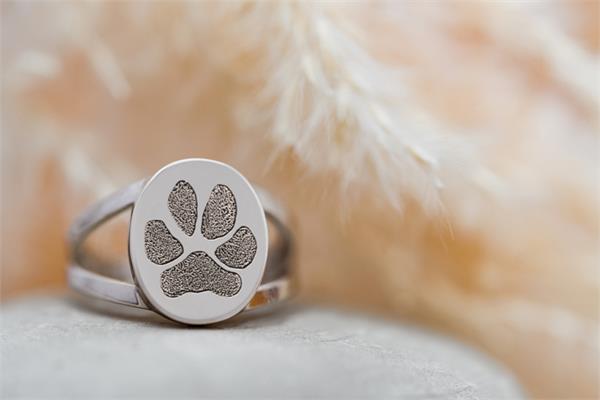 Elegant Oval V Ring Pawprint Pet Memorial Jewelry-Jewelry-New Memorials-Afterlife Essentials