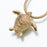 Sea Turtle Pendant Cremation Jewelry-Jewelry-Madelyn Co-Gold Vermeil-Afterlife Essentials