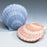 Shell Deep Water Series Aqua Biodegradable 400 cu in Cremation Urn-Cremation Urns-Infinity Urns-Afterlife Essentials