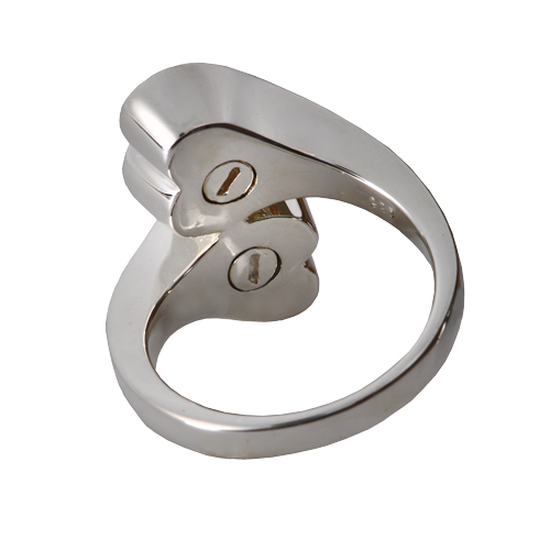 Pet Cremation Jewelry Companion Heart Ring-Jewelry-New Memorials-Afterlife Essentials
