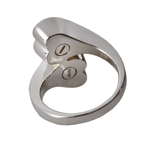 Double Chamber Heart Ring Hand and Foot Print Cremation Jewelry-Jewelry-New Memorials-Afterlife Essentials