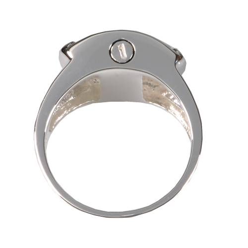 Shield Ring Pawprint Pet Print Cremation Jewelry-Jewelry-New Memorials-Afterlife Essentials