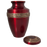 Scarlet Brass Pet Large 200 cu in Cremation Urn-Cremation Urns-New Memorials-Afterlife Essentials