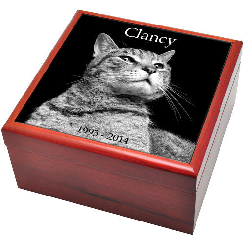 Cherry Wood Photo Tile Urn Box Cat Urns-Cremation Urns-New Memorials-Afterlife Essentials