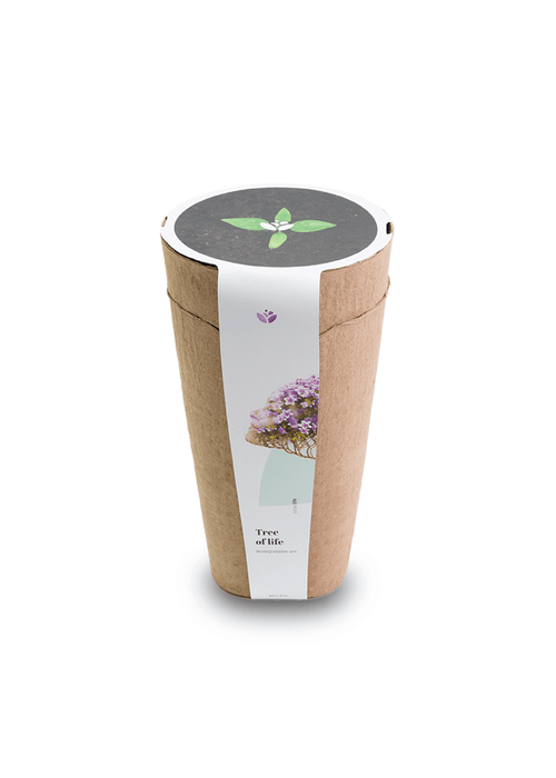 Kiri Biodegradable Urns – HONEY LOCUST-Cremation Urns-Bogati-Afterlife Essentials