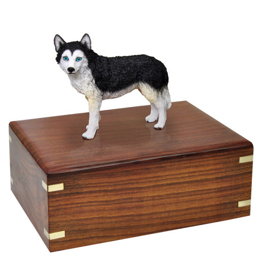 Husky Black and White Blue Eyes Pet Wood Cremation Urn-Cremation Urns-New Memorials-Afterlife Essentials