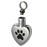 Pet Cremation Jewelry Stainless Steel Paw My Heart-Jewelry-New Memorials-Afterlife Essentials