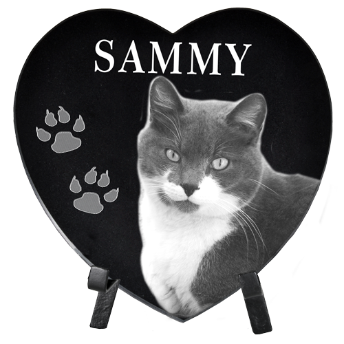 Pet Photo Engraved Black Marble Heart 10"H-Memorial Stone-New Memorials-Afterlife Essentials