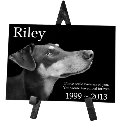 Pet Photo Engraved Black Marble Rectangle 8" x 10"-Memorial Stone-New Memorials-Afterlife Essentials
