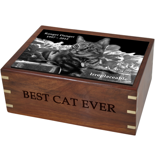 Perfect Simple Wood Box Photo Tile Cat Pet 87 cu in Cremation Urn-Cremation Urns-New Memorials-Afterlife Essentials