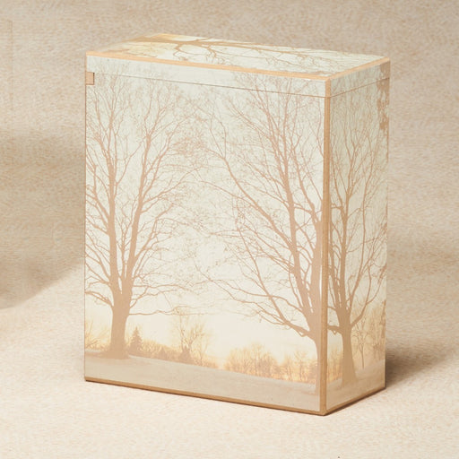 Winters Morning Scattering Box 195 cu in Cremation Urn-Cremation Urns-Infinity Urns-Afterlife Essentials